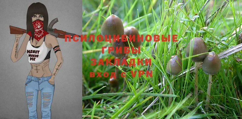 Псилоцибиновые грибы MAGIC MUSHROOMS  наркота  Новошахтинск 